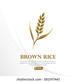 rice vector