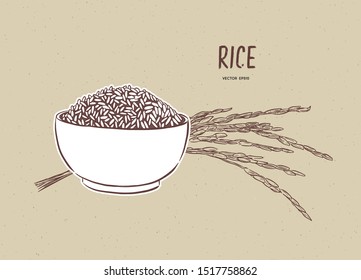 Rice Vector In Bowl With Rice Branch. Hand Draw Sketch Vector.