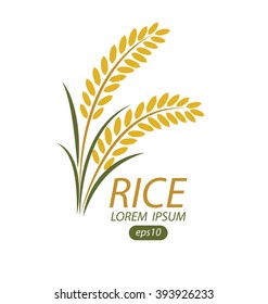 Rice. Vector illustration.