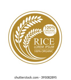 Rice. Vector illustration.