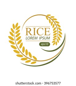 Rice. Vector illustration.