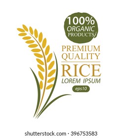 Rice. Vector illustration.