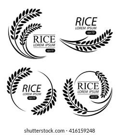 Rice. Vector illustration.