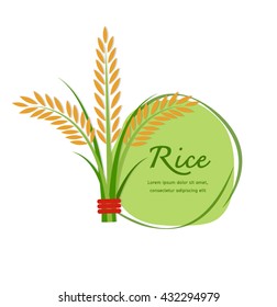Rice. Vector Illustration 