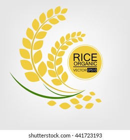 Rice. Vector illustration.