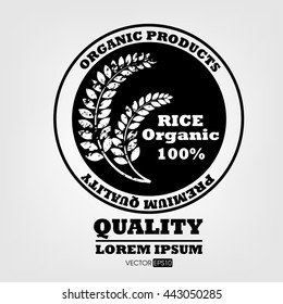 Rice. Vector illustration.