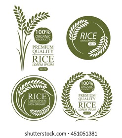 Rice. Vector illustration.