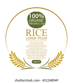 Rice. Vector illustration.