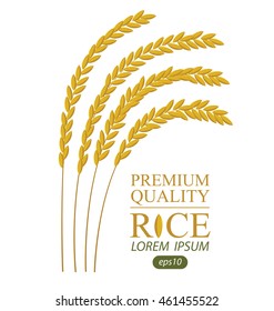 Rice. Vector illustration.