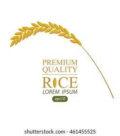 Rice. Vector illustration.