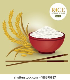 Rice. Vector illustration.