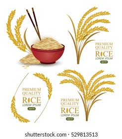 Rice. Vector illustration.