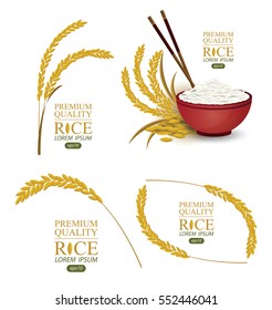 Rice. Vector illustration.