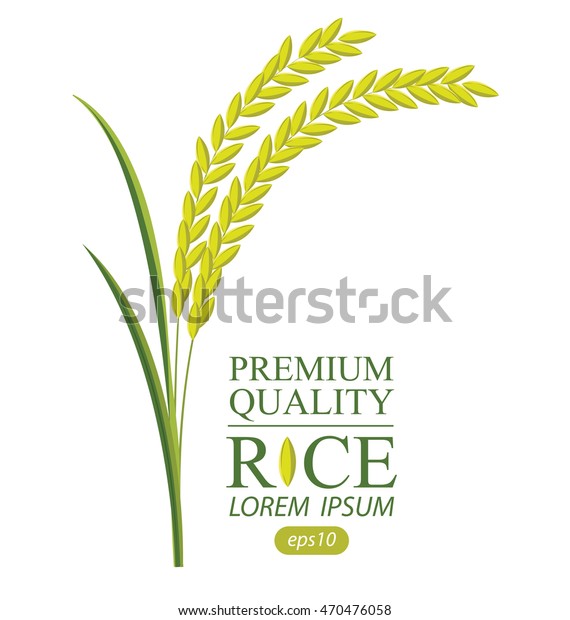 rice vector illustration stock vector royalty free 470476058 https www shutterstock com image vector rice vector illustration 470476058