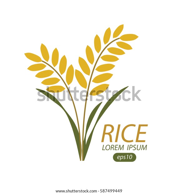 rice vector illustration stock vector royalty free 587499449 https www shutterstock com image vector rice vector illustration 587499449