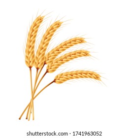 Rice vector on white background. oat vector. wallpaper. free space for text. copy space.