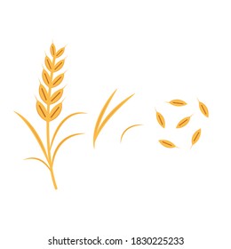 Rice vector on white background. oat vector. wallpaper.