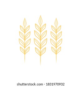 Rice vector on white background. oat vector. wallpaper.