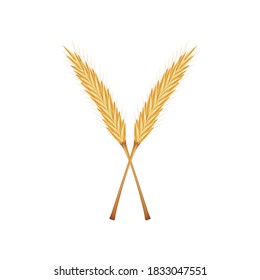 Vector de arroz sobre fondo blanco. vector de avena. fondo de pantalla.