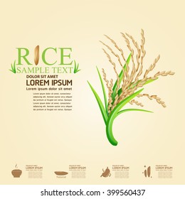 Rice Vector Template