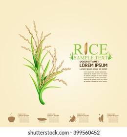 Rice Vector Template