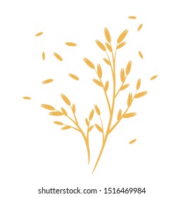 Rice vector. wallpaper. free space for text. poster rice on white background.