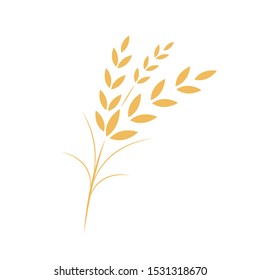 Rice vector. wallpaper. free space for text. poster rice on white background.