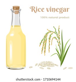 Rice vinegar in glass bottle, ear of rice and grains Isolated on white background. Seasoning vector illustration in cartoon flat style.