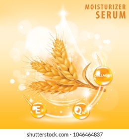Rice , wheat , barley and oat vitamin banner vector illustration