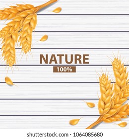 Rice , wheat , barley and oats on white wood desk vector illustration