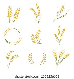 Rice Wheat cereal  graphic element flat color illustration design