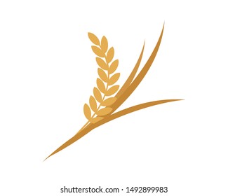 Rice or Wheat Flat Vector Illustration