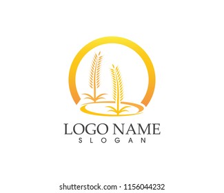 Rice wheat icon logo vector illustration