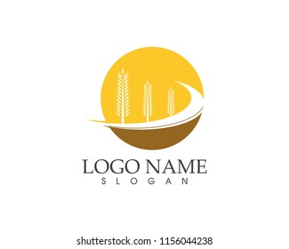 Rice wheat icon logo vector illustration