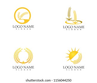 Rice wheat icon logo vector illustration
