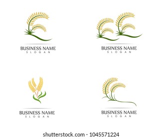 Rice wheat icon sign logo