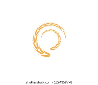 Rice wheat icon vector illustration