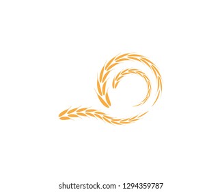 Rice wheat icon vector illustration