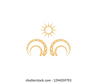 Rice wheat icon vector illustration