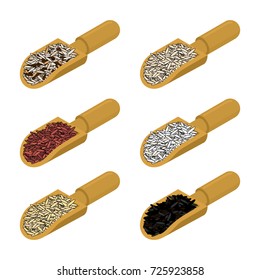 Rice in wooden scoop set. Parboiled and brown. Black and red. Basmati and wild rice. Groats in wood shovel. Grain on white background. Vector illustration