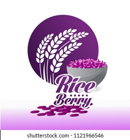Riceberry grand vector illustration