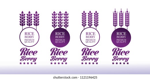 Riceberry  Premium Quality vector illuatration