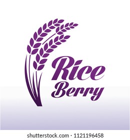 Riceberry  Premium Quality vector illuatration
