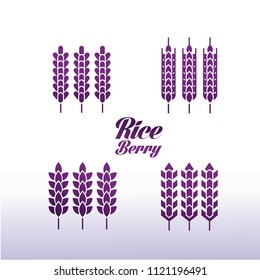 Riceberry  Premium Quality vector illuatration