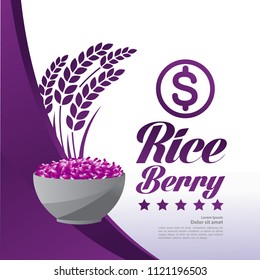 Riceberry  Premium Quality vector illuatration
