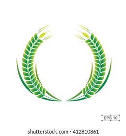 Rice,Green Rice,Vector illustration