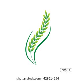 Rice,Green Rice,Vector illustration