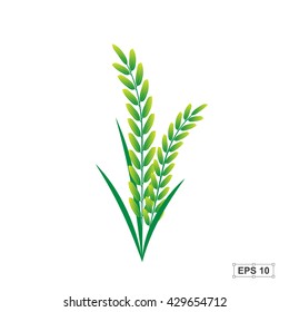 Rice,Green Rice,Vector illustration