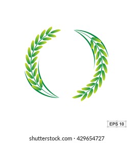 Rice,Green Rice,Vector illustration
