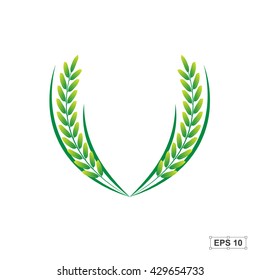 Rice,Green Rice,Vector illustration